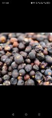 Juniper berries - Image 5