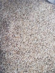 Natural Sesame Seeds – product photo 1, product detail gallery