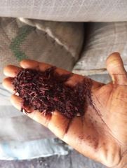 Dried Hibiscus Flower (Zobo) Grade A Premium Quality - Image 4