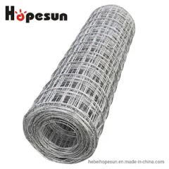 High Quality Hot Galvanized Welded Wire Mesh in Rolls - Hebei Hopesun Industry & Trade Corp.