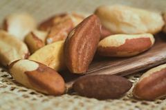 Bolivian Brazil Nuts - Image 3