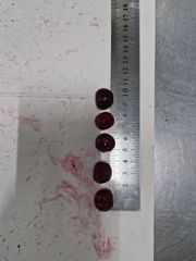 Frozen IQF Pitted Sour Cherry, Whole Individually Quick Frozen Cherries Without Pits, Bulk Wholesale, Uzbekistan – product photo 5, product detail gallery