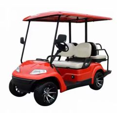 Custom Golf Cart Electric Car Golf Equipment Golf Trolley Service OEM Power 600-1700W Color Customized Battery 8V 6 - Image 2
