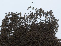 Black tea - Image 3