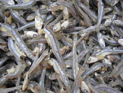 Dried Anchovies - Image 1