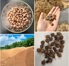 Biomass Energy - Image 1
