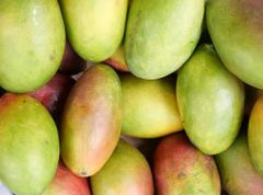 Premium Mangoes - Image 2
