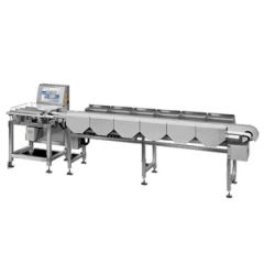 Automatic Weight Grader and Sorting Machine for Poultry and Seafood Processing - Image 3