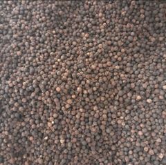 Black Pepper – product photo 2, product detail gallery