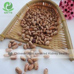 Light Speckled Kideny Beans - Image 5