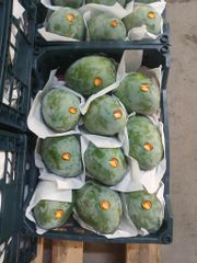 FRESH MANGOS - Image 2