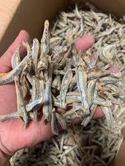 Dried Fish - Image 1