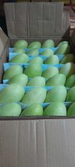 Fresh Davoa Mangoes from Philippines - Image 2