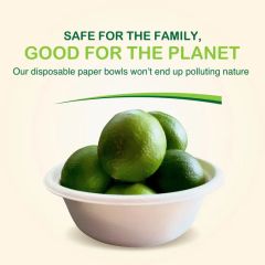 Customize Packaging Pfas Free Biodegradable Pulp Bagasse Salad Bowl - Image 2