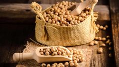 Premium Soybeans For Food Processing Animal Feed And Agricultural Use With Reliable Quality And Consistent Supply – product photo 4, product detail gallery