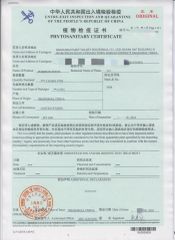 phytosanitary certificate certificate from Shanghai Fairy Valley Industrial Co., Ltd.