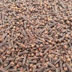 Cloves – product photo 1, product detail gallery