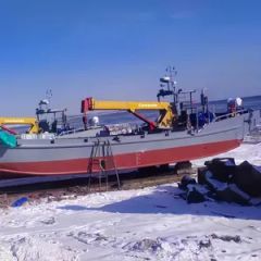 12 Ton Compact Folding Boom Spider Crane with Easy Transport Design - Image 2