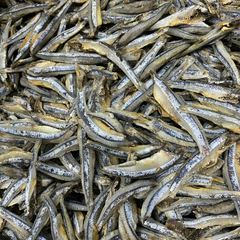 Dried Anchovies VIETNAM Wholesale - Premium Quality Export - Image 2