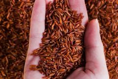 Red rice - Image 3