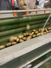 Yam Lotus Root Potato Hair Roller Cleaning Peeling Machine - Image 6