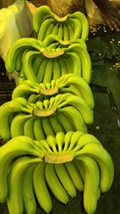 Fresh Green Banana – product photo 2, product detail gallery