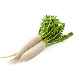 VEGETABLE MARKET PRICE FRESH WHITE RADISH Type Radish Style Fresh Color White Weight (kg) 1 Taste Delicious Model Number - Image 1
