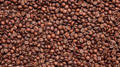 Premium Indonesian Arabica & Robusta Coffee | Origin Supply for Global Buyers - Image 1