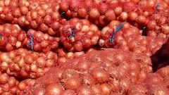 Dried Whole Onions - Image 2