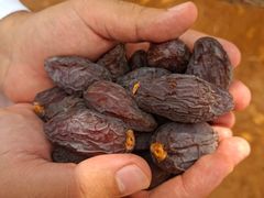 Medjool dates high quality – product photo 4, product detail gallery