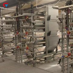 Factory Price H Type Layered Chicken Farm Automatic Poultry Cages - Image 3