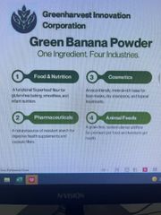 Dried Banana Powder - Image 2