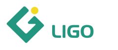 LG IMPORT AND EXPORT CORPORATION