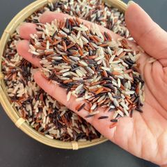 PURPLE RICE Type Rice Style Dried Color Brown Texture Hard Address Thailand Drying Process AD Shelf Life 2 Years Manufacturer - Image 3