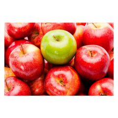 Premium quality red apples wholesale bulk stock available with discount price offers - Image 1