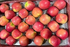 FRESH CRIPPS PINK APPLES FOR SALE!! CLASS 1 EXPORT QUALITY CRIPPS PINK APPLES READY FOR EXPORT – product photo 3, product detail gallery