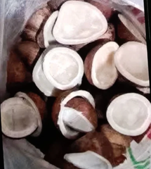 Dry Half Coconut – product photo 1, product detail gallery