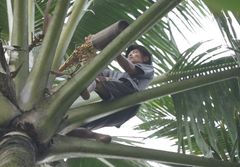 Organic Coconut Sugar Block - Image 2