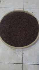 Clove - Image 1