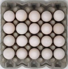 Fresh White Chicken Eggs Wholesale Distribution - Image 3