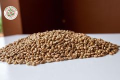 ROBUSTA COFFEE SCREEN 18 - Image 2