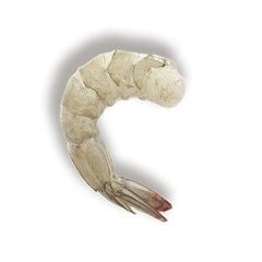 Vannamei shrimp - Image 1