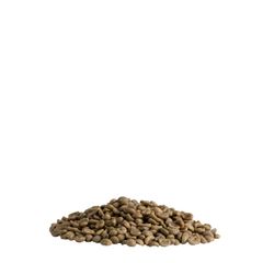 Premium Quality Malawi AA Mzuzu Maple Dried Fruit Arabica Green Coffee Raw Beans 1 kg bag Green Coffee Beans For Wholesale - Image 1