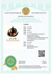 certificate of incorporation/registration certificate from ARCTIC PETEROLEUM