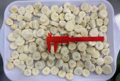 IQF Banana Slices, Frozen Banana Sliced, IQF Banana Sliced, Frozen Banana - Image 1