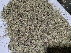 Premium quality Egyptian basil - Image 2