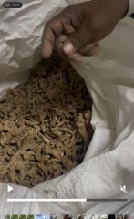 Dry ginger gatti – product photo 1, product detail gallery