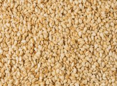 Sesame seeds – product photo 1, product detail gallery