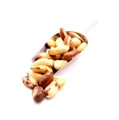 Selected Brazil Nuts Whole Natural Kernels Smooth Crunchy Texture Ideal For Baking Cooking And Retail Food Supply Buy Today Fast Delivery Premium Quality Wholesale – product photo 5, product detail gallery