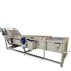 Durable Strawberry Washing Machine Fruit and Vegetable Processing Production Line - Image 4